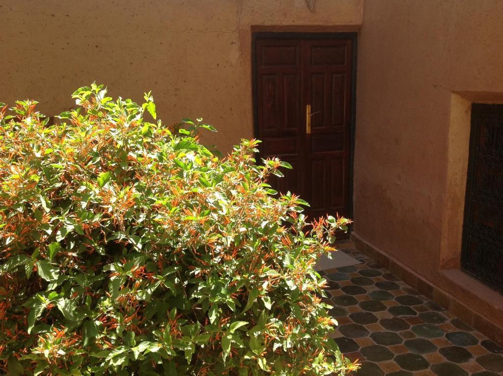 Riad Timadrouine Timatraouine 객실 사진