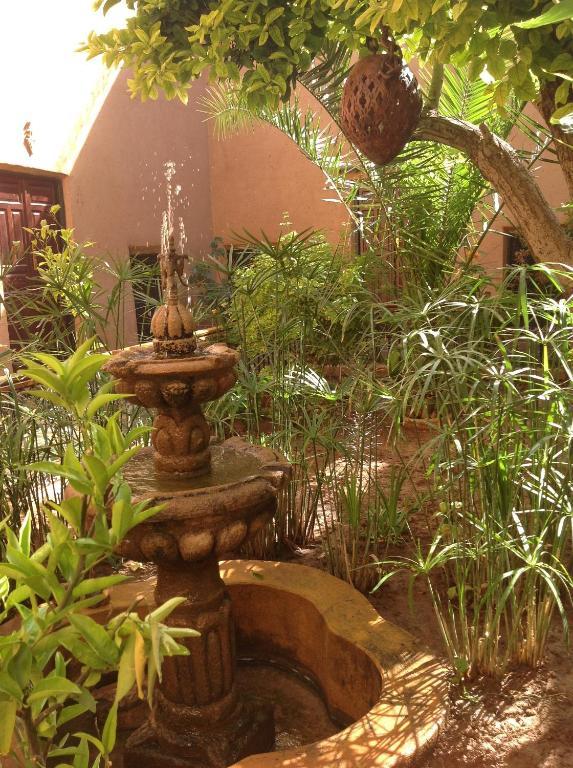 Riad Timadrouine Timatraouine 객실 사진